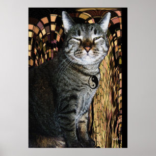 Power of Purrsuasion Poster