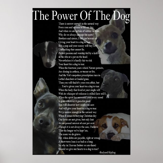 Power of the Dog Poster (large) (Front)