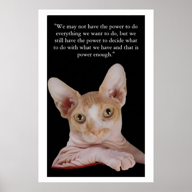 "Power To Decide" Poster (Front)