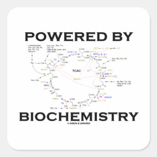 Powered By Biochemistry (Krebs Cycle) Square Sticker
