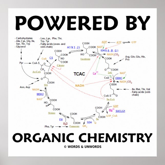Powered By Organic Chemistry Krebs Cycle Humor Poster (Front)