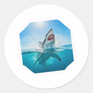 Powerful Great White Shark - Majestic Ocean Predat Classic Round Sticker