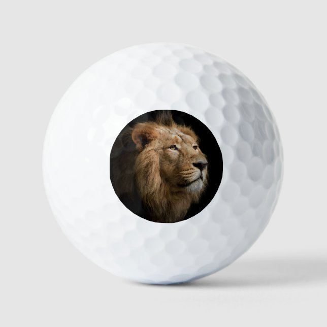 Powerful Lion Portrait with Dark Background Golf Balls (Front)