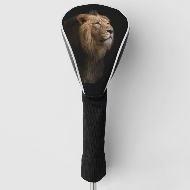 Powerful Lion Portrait with Dark Background Golf Head Cover (Front)