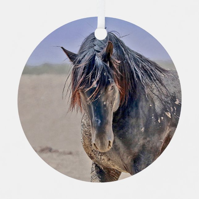 Powerful stallion ornament (Front)