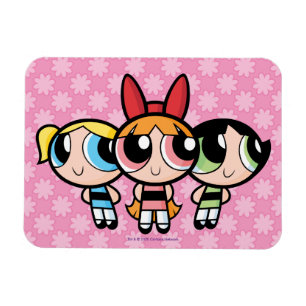 Powerpuff Girls: Sugar, Spice and Everything Nice Magnet