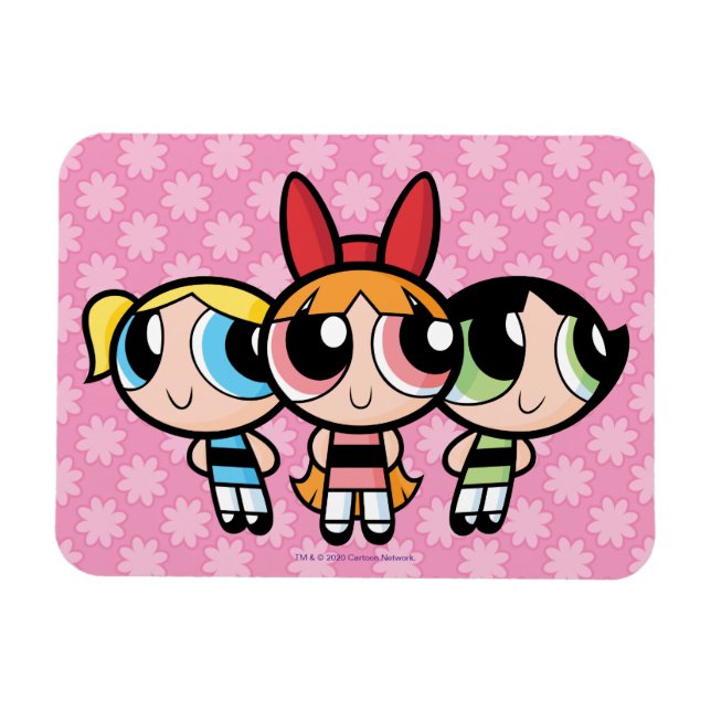 Powerpuff Girls: Sugar, Spice and Everything Nice Magnet (Horizontal)