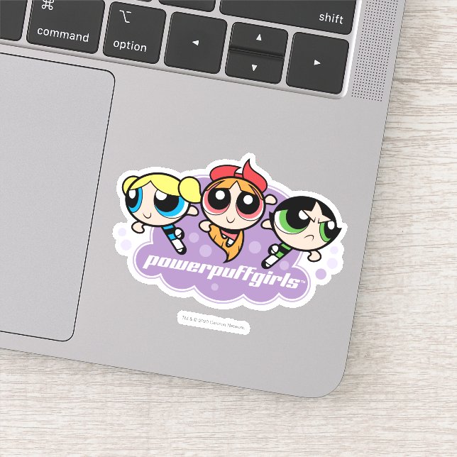 Powerpuff Girls Team Logo (Detail)