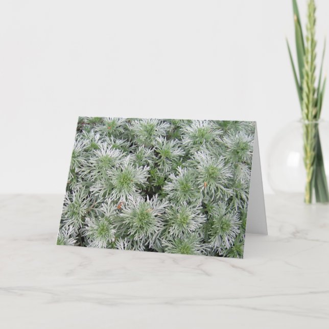 Powis Castle Artemisia Card (Front)