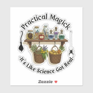 Practical Magick – Witchy Potions & Science Meme