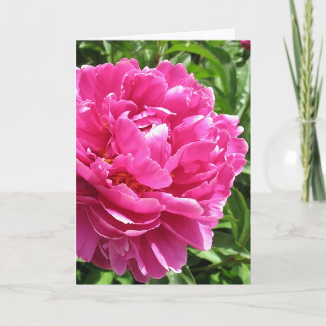 Practically Perfect Peony Card (Front)