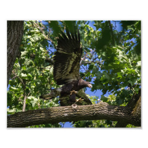 Practice Landing Photo Print