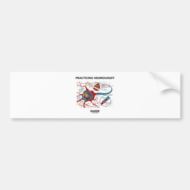 Practicing Neurologist Inside (Neuron Synapse) Bumper Sticker (Front)