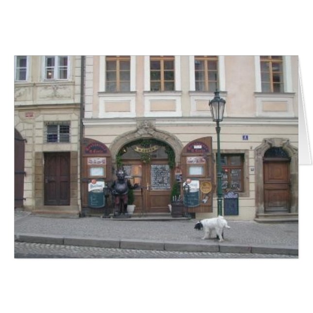 PragueDoggy04 (Front Horizontal)