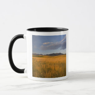 Praire grasslands in the foothills of the mug