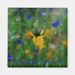 Prairie Coneflower Magnet