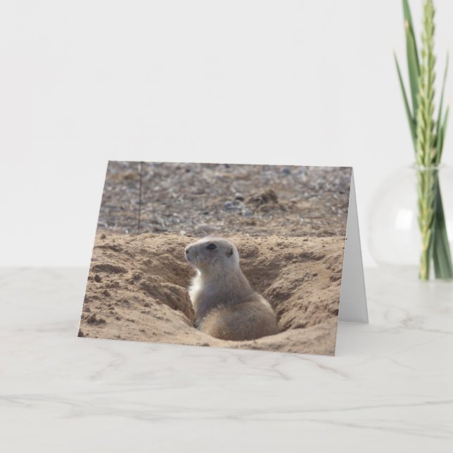 Prairie Dog Birthday Card (Front)
