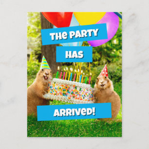 Prairie Dog Birthday Party Invitation Postcard