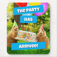 Prairie Dog Birthday Party