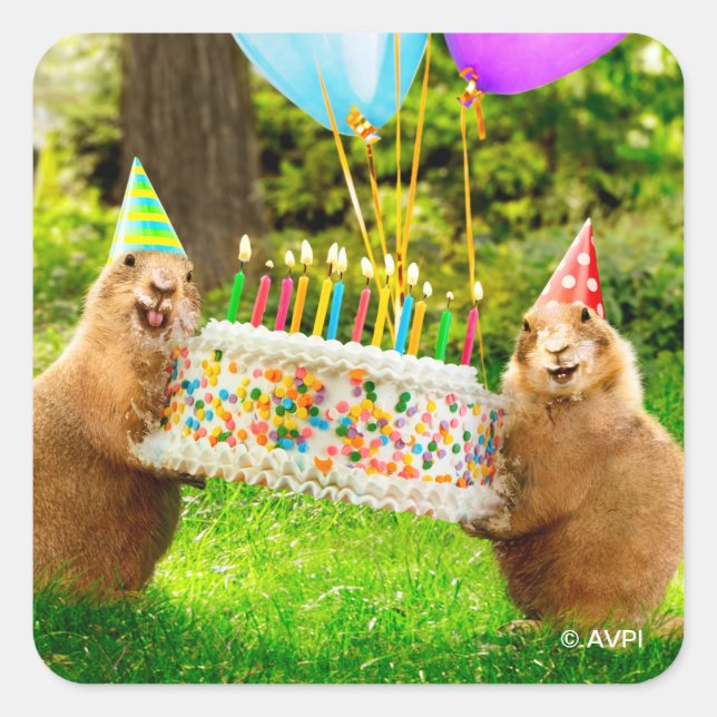 Prairie Dog Birthday Party Square Sticker (Front)