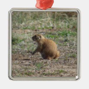 Prairie Dog Christmas Ornament