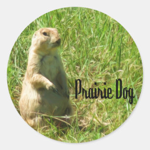 Prairie Dog Classic Round Sticker