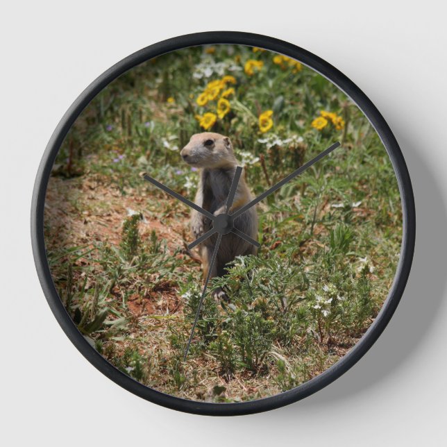 Prairie Dog Clock (Front)