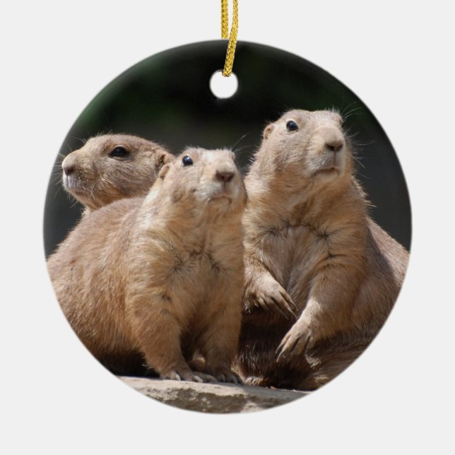 Prairie Dog Family Ceramic Tree Decoration (Front)