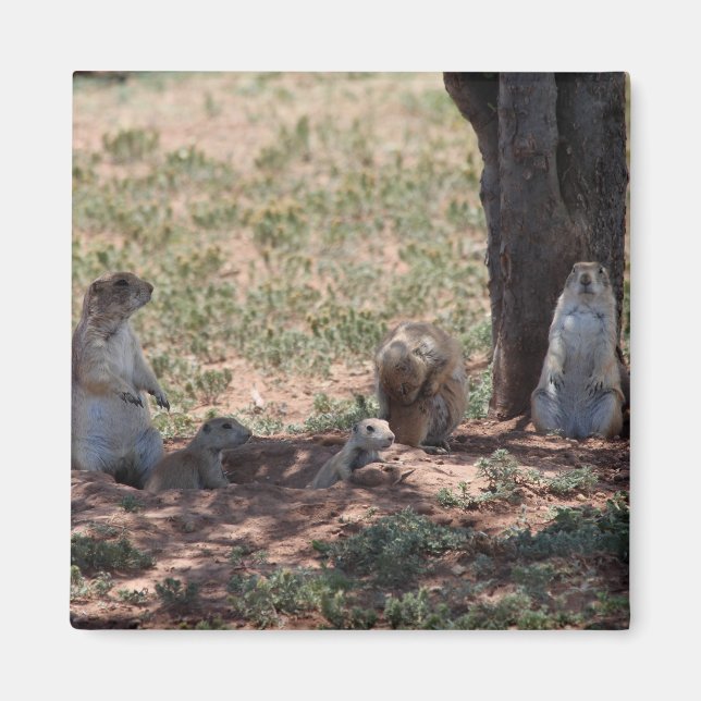 Prairie Dog Family Magnet (Front)