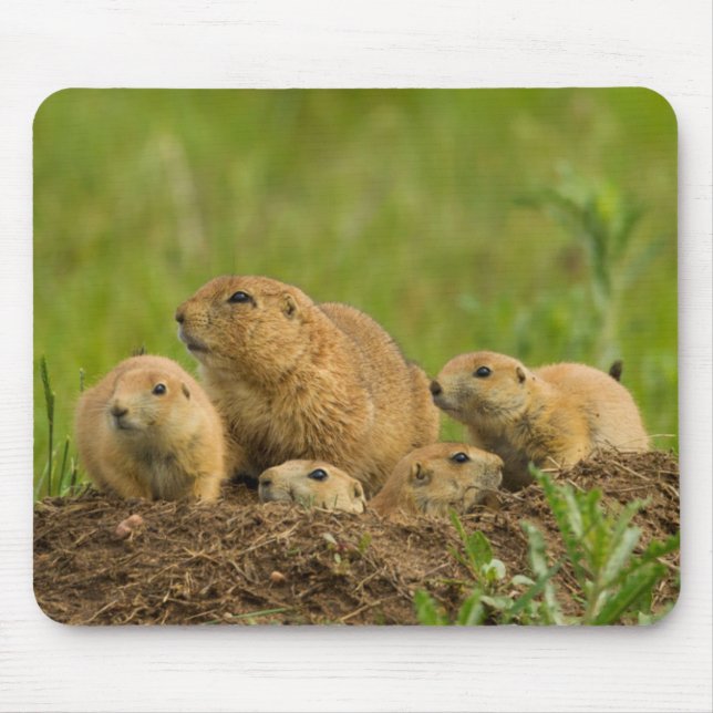 Prairie Dog Family on Den Mouse Pad (Front)