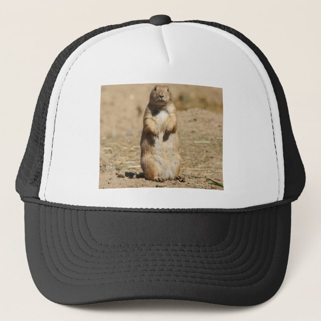 Prairie Dog Hat (Front)