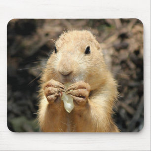 Prairie Dog Having a Snack Mouse Pad