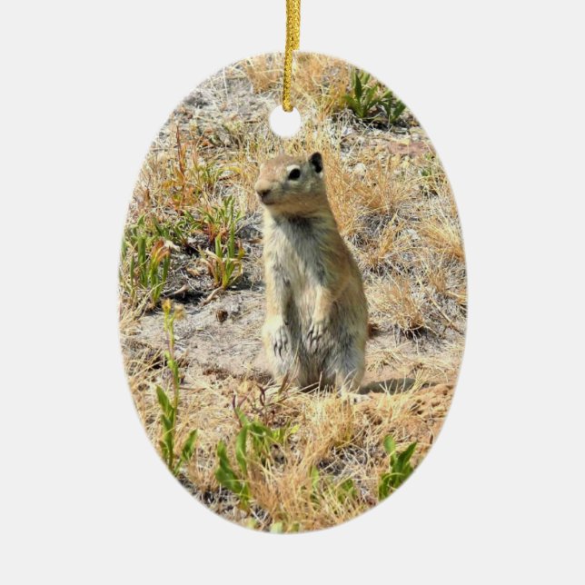 Prairie Dog in Yosemite, CA Ceramic Ornament (Front)