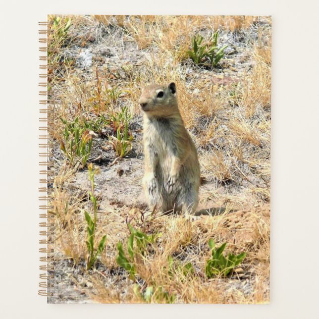 Prairie Dog in Yosemite, CA Planner (Front)