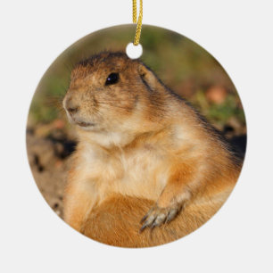 prairie dog is full ceramic tree decoration
