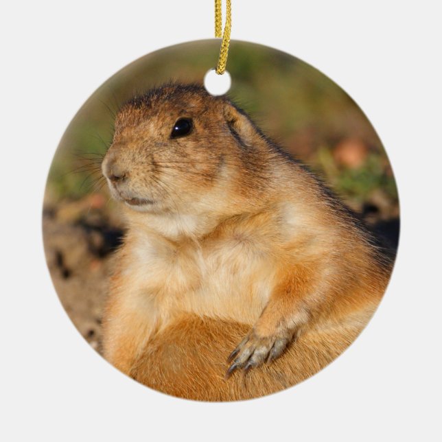 prairie dog is full ceramic tree decoration (Front)