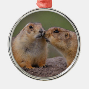 prairie dog kiss metal ornament
