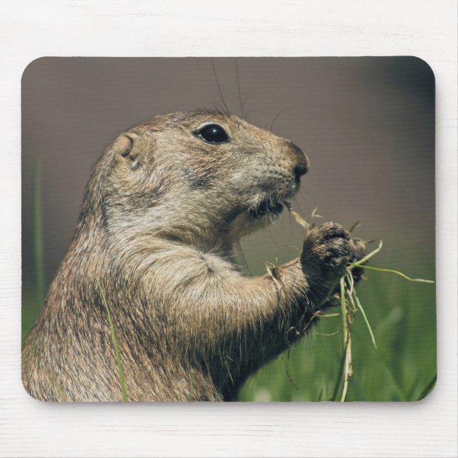 Prairie dog mouse pad (Front)