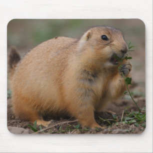 Prairie Dog Mouse Pad