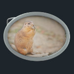Prairie dog oval belt buckle<br><div class="desc">Prairie dog. This cute creature is just to nice and seems to be flattered as I also this image. I just let him alone as it is enjoying his breakfast. Wiki: Prairie dogs (genus Cynomys) are burrowing rodents native to the grasslands of North America. Prairie dogs are named for their...</div>