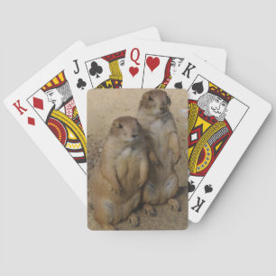 Prairie dog Playing card