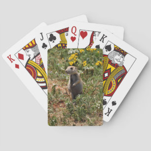 Prairie Dog Playing Cards