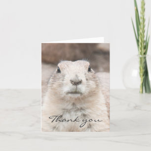 Prairie dog portrait Thank you Card