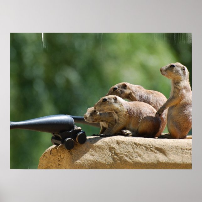 Prairie Dog Soldiers Poster (Front)