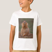 Prairie Dog