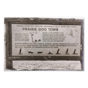 Prairie Dog Town South Dakota Wind Cave Retro Photo Print