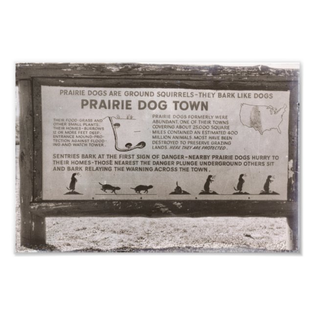 Prairie Dog Town South Dakota Wind Cave Retro Photo Print (Front)