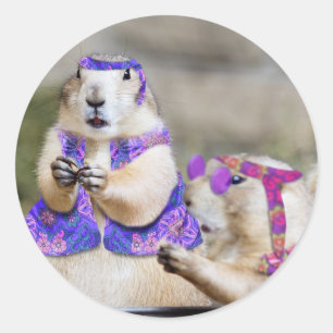 Prairie Dogs are GROOVY! Classic Round Sticker