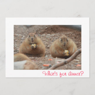 Prairie Dogs Eating Menu