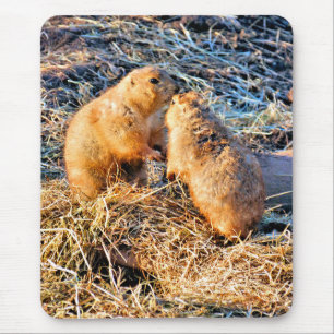 PRAIRIE DOGS MOUSE PAD